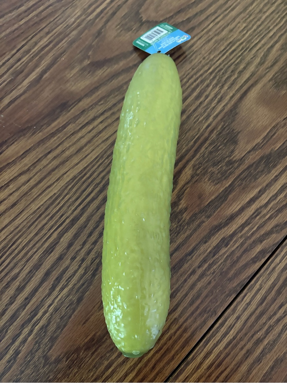 Sunny days squeezy pickle brand new